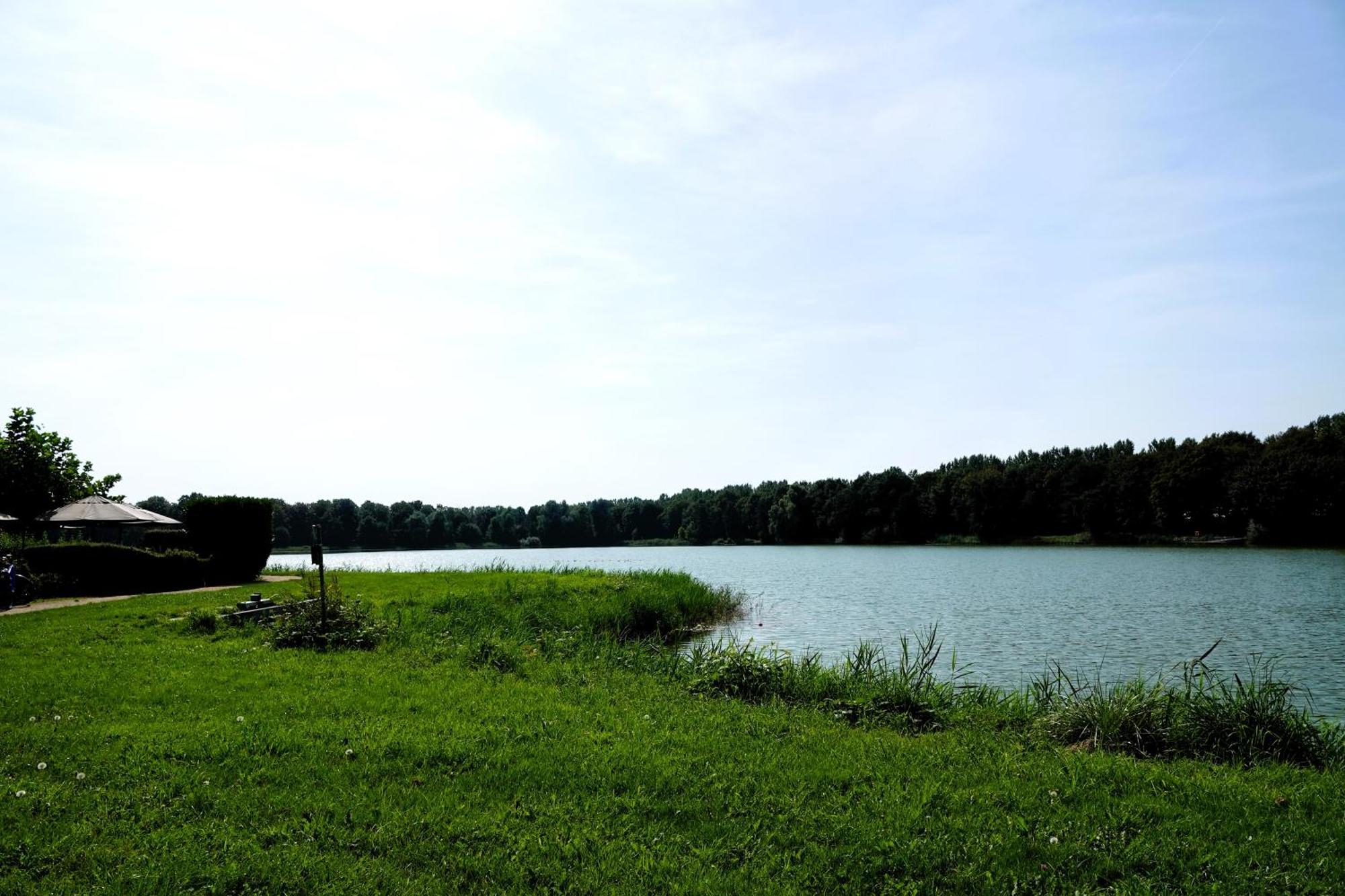 Tiny Zen House In Heinkenszand With Private Sauna, Airco, Outdoor Swimming Pool, Wifi And 2 Bedrooms Eksteriør bilde